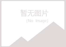 香港紫山水泥有限公司